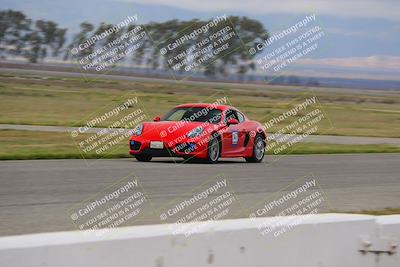 media/Mar-30-2025-Speed Ventures (Sun) [[39e6b1441d]]/Purple/Front Straight/
